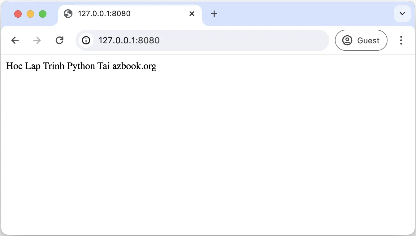 Server python